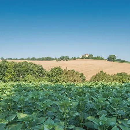 Quadrifoglio Vakantiehuis