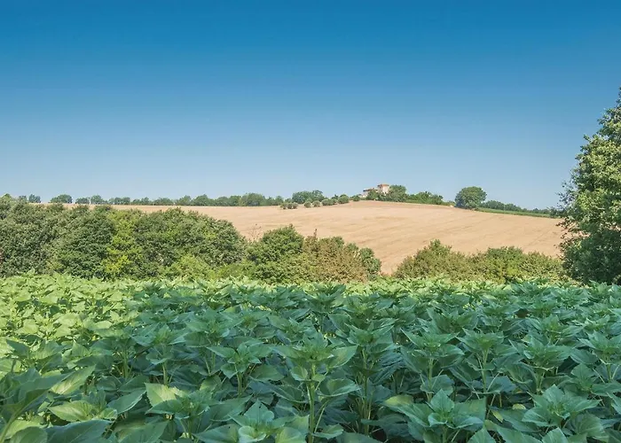 Quadrifoglio Prázdninový dům